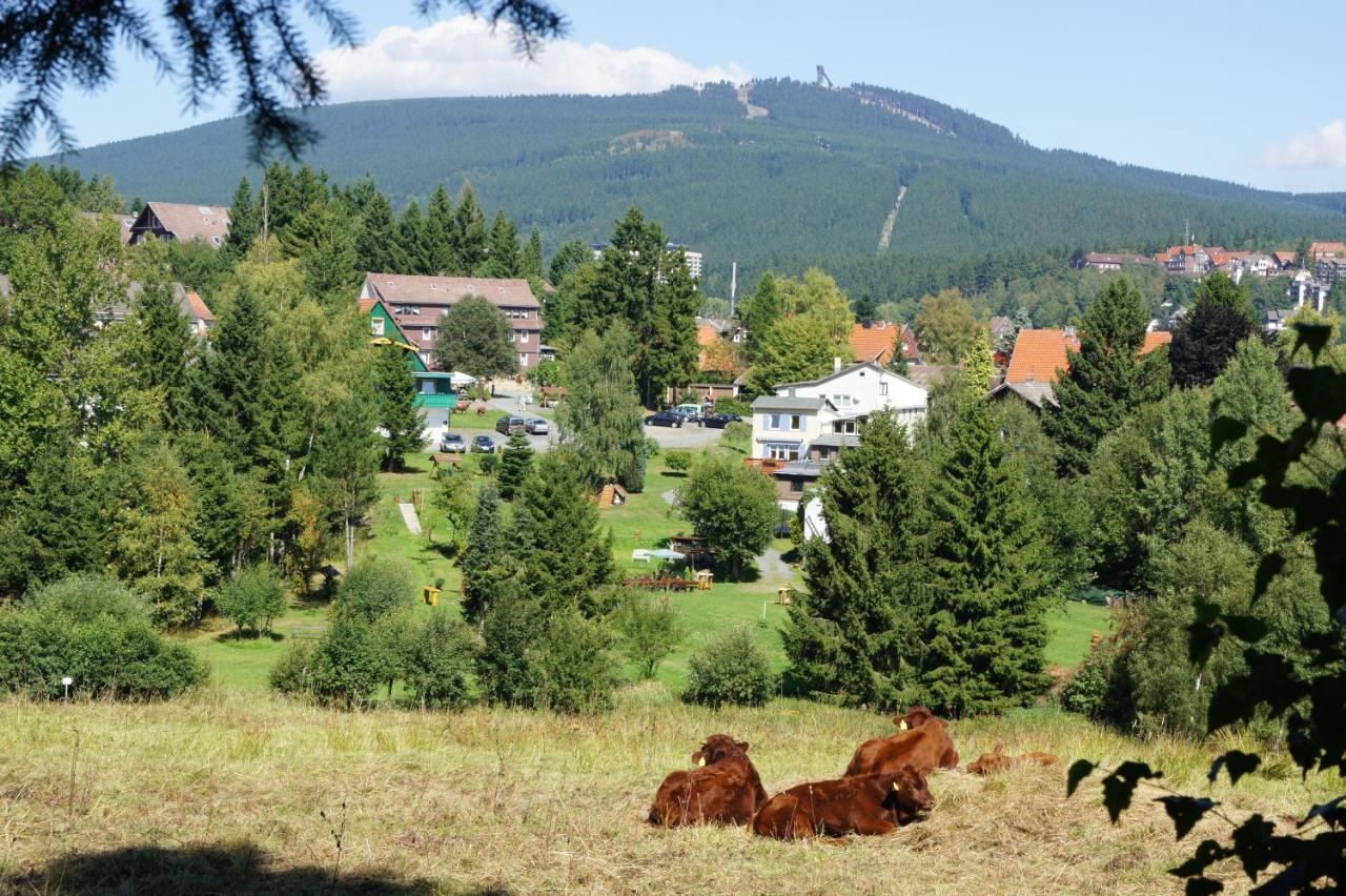 Paulsberg`s Villa Braunlage Esterno foto